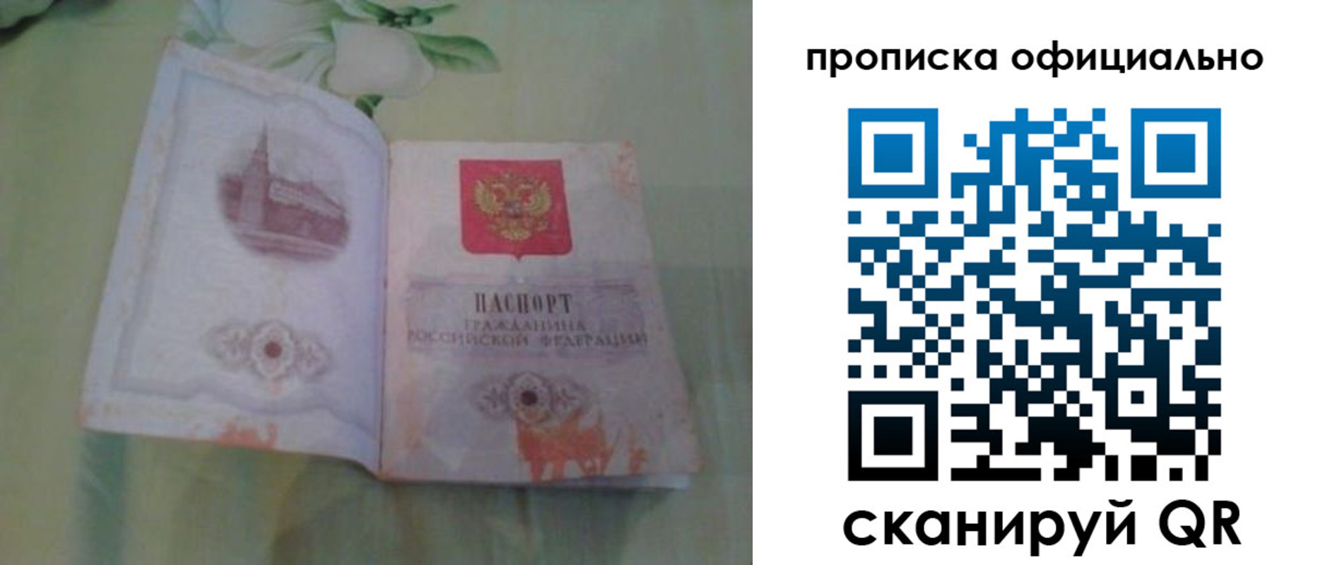 где прописаться в Курской области